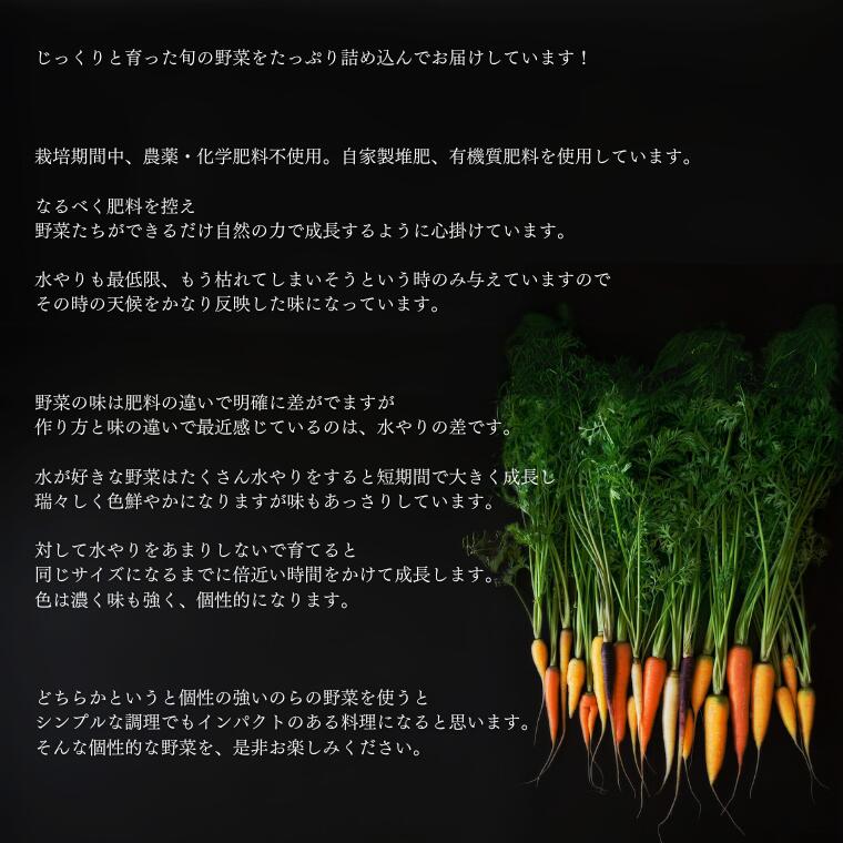 【ふるさと納税】季節の野菜セット (8~10種) 選べる 単発/定期便 - 画像2