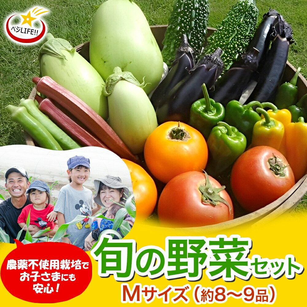 旬の野菜セット Mサイズ 約8~9品 季節の野菜 野菜 詰合せ 農薬不使用 新鮮 鮮度 産地直送 農業 土 料理 甘い 美味しい 採れたて トマト 新玉ねぎ じゃがいも キャベツ 白菜 お取り寄せ 春 夏 秋 冬 ベジライフ 千葉県我孫子市