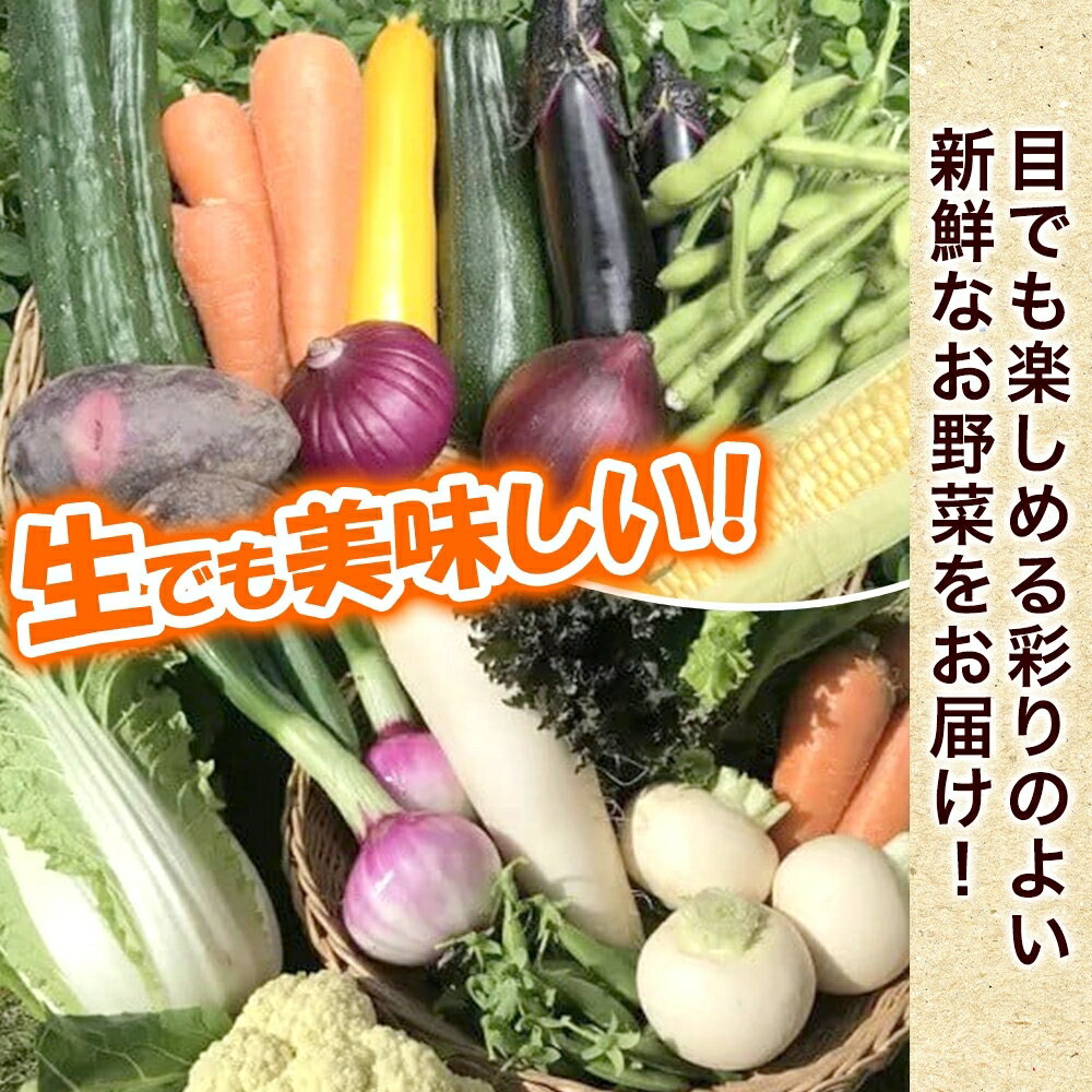 【ふるさと納税】 旬の野菜セット Mサイズ 約8~9品 季節の野菜 野菜 詰合せ 農薬不使用 新鮮 鮮度 産地直送 農業 土 料理 甘い 美味しい 採れたて トマト 新玉ねぎ じゃがいも キャベツ 白菜 お取り寄せ 春 夏 秋 冬 ベジライフ 千葉県我孫子市 - 画像2