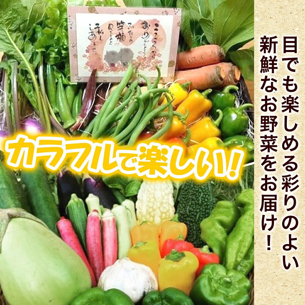 【ふるさと納税】 旬の野菜セット Mサイズ 約8~9品 季節の野菜 野菜 詰合せ 農薬不使用 新鮮 鮮度 産地直送 農業 土 料理 甘い 美味しい 採れたて トマト 新玉ねぎ じゃがいも キャベツ 白菜 お取り寄せ 春 夏 秋 冬 ベジライフ 千葉県我孫子市 - 画像3