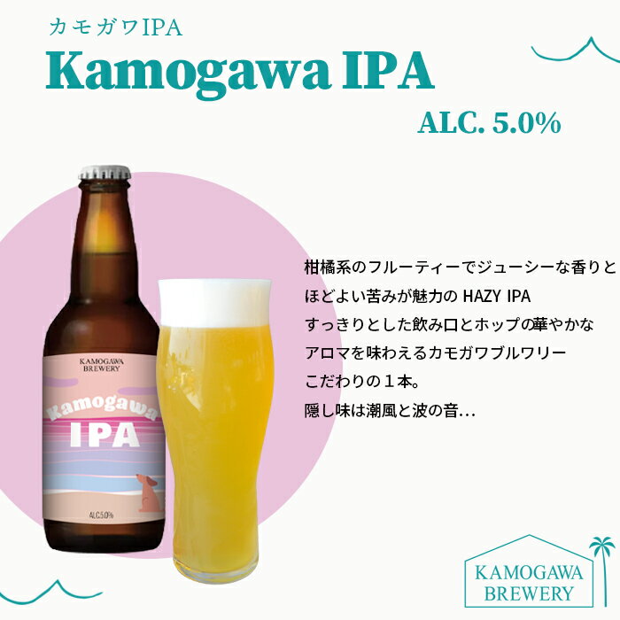 【ふるさと納税】【KAMOGAWA BREWERY】鴨川クラフトビール 3種3本／6本／9本　[0009-0030] サムネイル3
