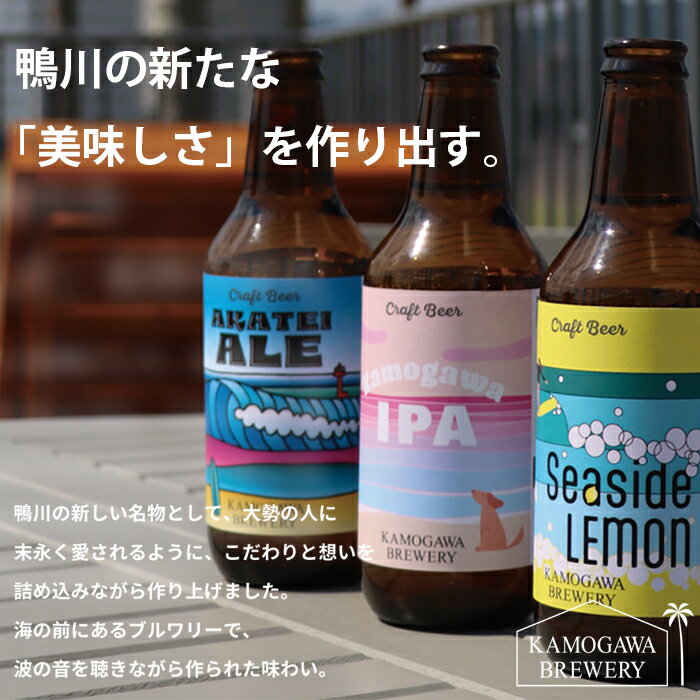 【ふるさと納税】【KAMOGAWA BREWERY】鴨川クラフトビール 3種3本／6本／9本　[0009-0030] サムネイル2