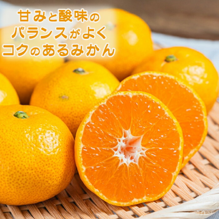 【ふるさと納税】【数量限定・先行予約】甘みと酸味の絶妙バランス！温州みかん『宮川早生』5kg　[0008-0045] サムネイル3