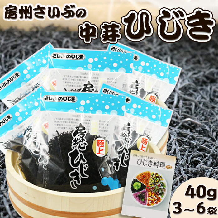 【さいぶのひじき】中芽ひじき 40g×3袋～6袋　レシピ集付き　[0006-0045]