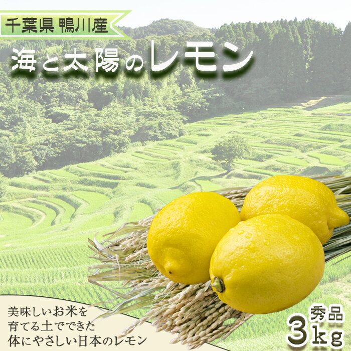 《先行予約》【皮まで食べられる】海と太陽のレモン【秀品】3kg（約25個）　[0011-0057]