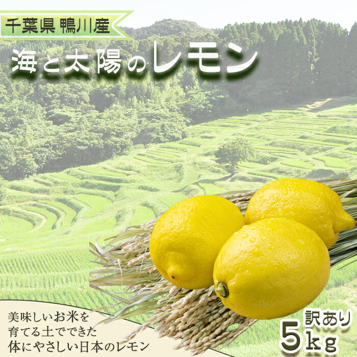 《先行予約》【皮まで食べられる】海と太陽のレモン【訳あり品-良品-】5kg（約40個）　[0011-0058]