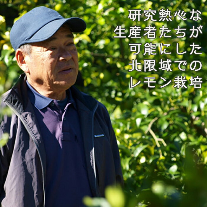 【ふるさと納税】《先行予約》【皮まで食べられる】海と太陽のレモン【訳あり品-良品-】5kg（約40個）　[0011-0058] サムネイル3