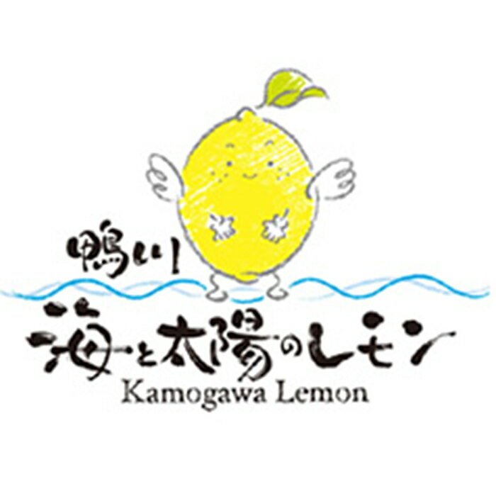 【ふるさと納税】《先行予約》【皮まで食べられる】海と太陽のレモン【訳あり品-良品-】5kg（約40個）　[0011-0058] サムネイル2