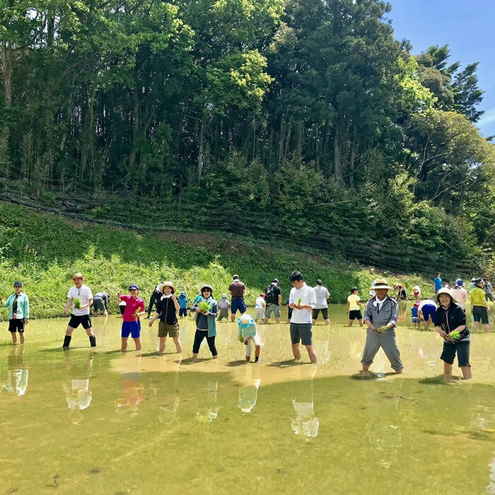 【ふるさと納税】【先着20組限定】令和8年度 大山千枚田『棚田トラスト制度』参加権利　[0107-0001] - 画像3