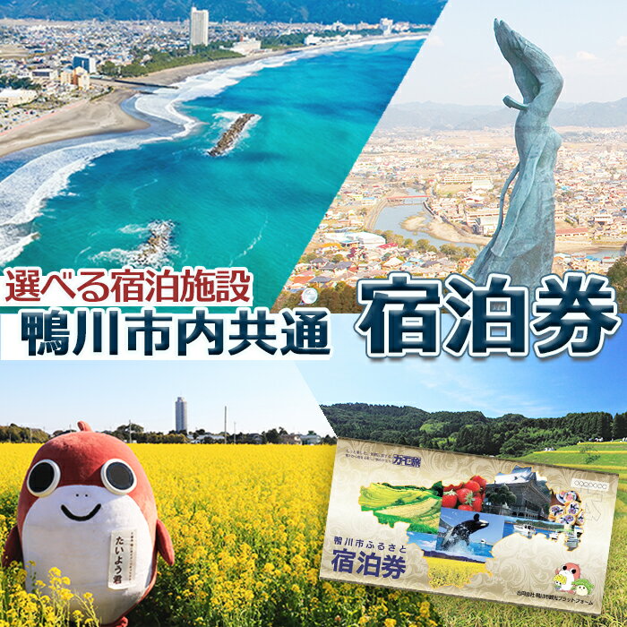 【ふるさと納税】【千葉県鴨川市】市内宿泊施設『共通宿泊券』3千円～15万円相当　[0050-0034]