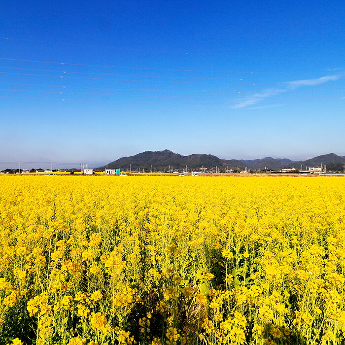 【ふるさと納税】【千葉県鴨川市】市内宿泊施設『共通宿泊券』3千円～15万円相当　[0050-0034] サムネイル3