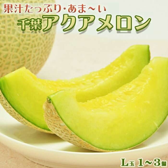 【高橋メロン農園】千葉アクアメロン L玉以上 × 1～3個　[0010-0097]