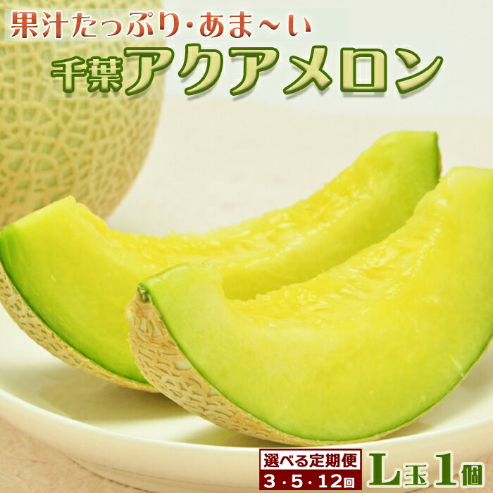 【定期便】高橋メロン農園『千葉アクアメロン』L玉以上 1個 × 3回/5回/12回発送　[0030-0061]