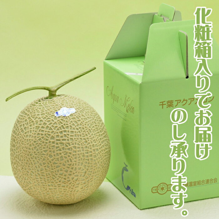 【ふるさと納税】【ご贈答に！】高級マスクメロン『千葉アクアメロン』L玉以上 × 3個／6個　[0033-0011] サムネイル3