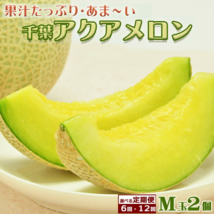 【定期便】高橋メロン農園『千葉アクアメロン』M玉以上 2個 × 6回発送／12回発送　[0100-0036]