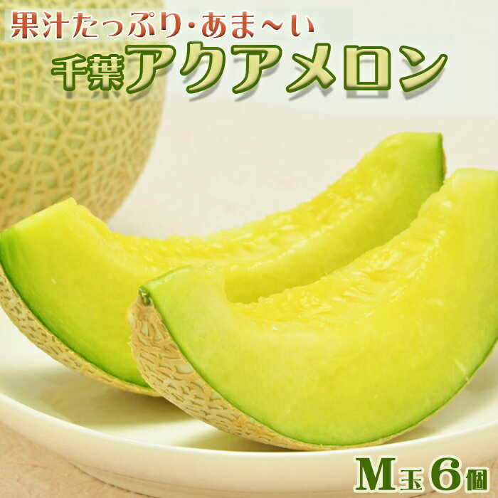 【高橋メロン農園】千葉アクアメロン M玉以上 × 6個 [0050-0051]