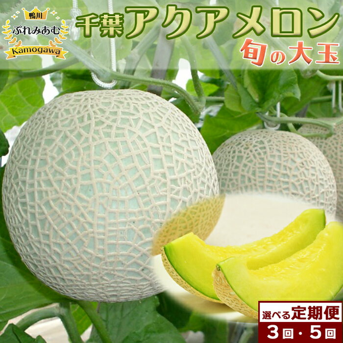 【令和8年5月発送／先行予約】鴨川ぷれみあむ『千葉アクアメロン』旬の大玉 1個 × 3カ月／5カ月　[0030-0095]