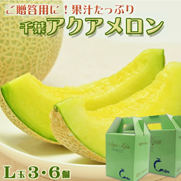 【ご贈答に！】高級マスクメロン『千葉アクアメロン』L玉以上 × 3個／6個　[0033-0011]