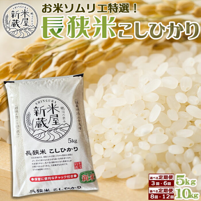 《令和7年産》【米屋新蔵の定期便】お米ソムリエ特選『長狭米コシヒカリ』5kg（3回 ・6回）／10kg（8回・10回）　[0050-0102]