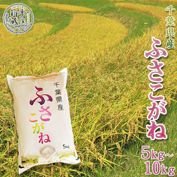 《令和7年産》【米屋新蔵】お米ソムリエ特選 千葉県産『ふさこがね』5kg／10kg　[0013-0049]