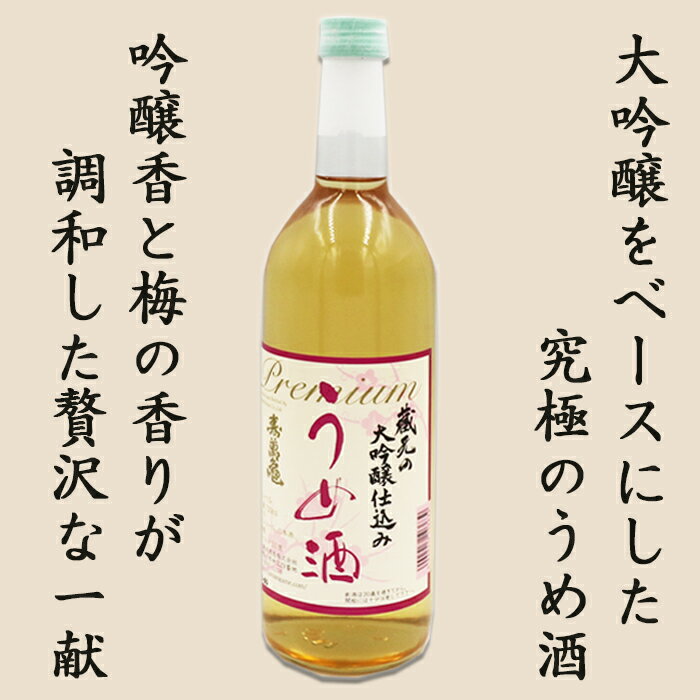 【ふるさと納税】【寿萬亀-亀田酒造-】蔵元の大吟醸仕込み『うめ酒』720ml　[0010-0335] サムネイル2