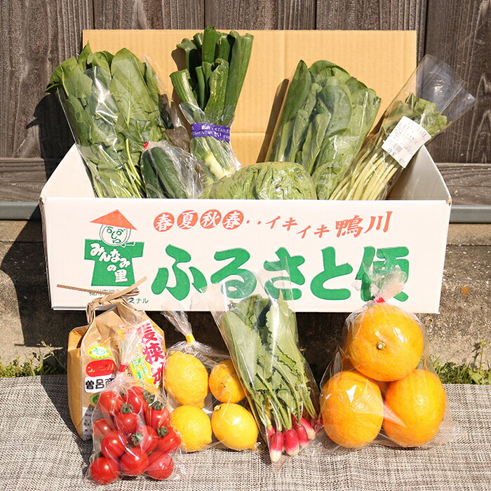 【ふるさと納税】【鴨川直送ふるさと便】季節の野菜＆果物詰合せ [0015-0043] - 画像3