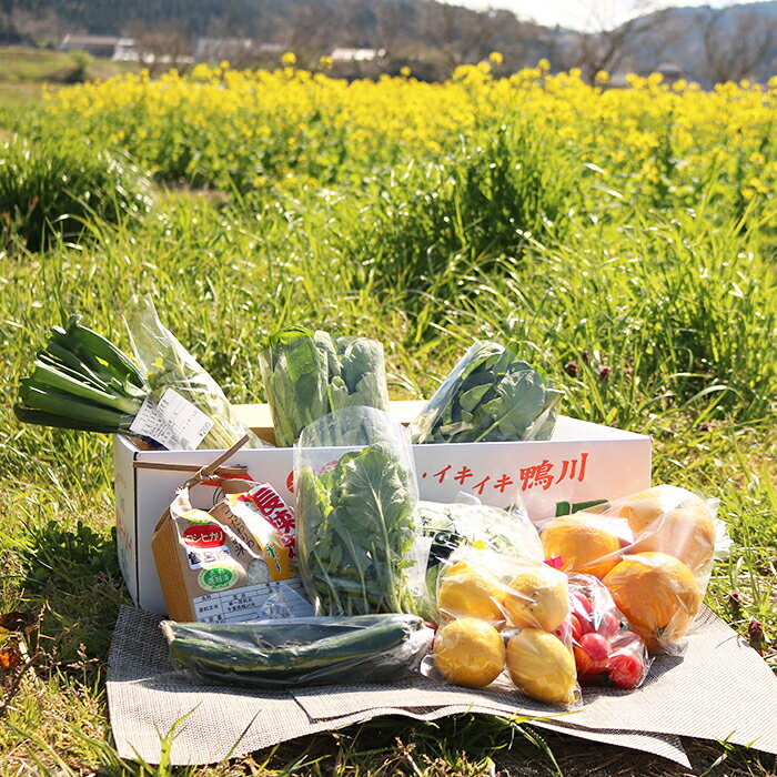 【ふるさと納税】【鴨川直送ふるさと便】季節の野菜＆果物詰合せ [0015-0043] - 画像2