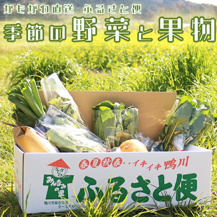 【鴨川直送ふるさと便】季節の野菜＆果物詰合せ [0015-0043]