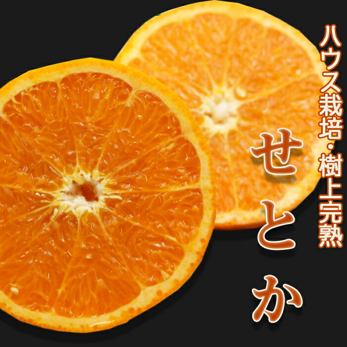 【ふるさと納税】【数量限定・先行予約】もぎたて樹上完熟！『せとか』5kg《優品／訳あり》　[0017-0017] サムネイル2