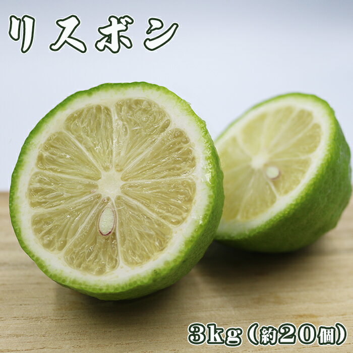 【ふるさと納税】【令和7年10月下旬発送／先行予約】刈込園芸 鴨川産レモン『リスボン』3kg　[0010-0277] サムネイル3