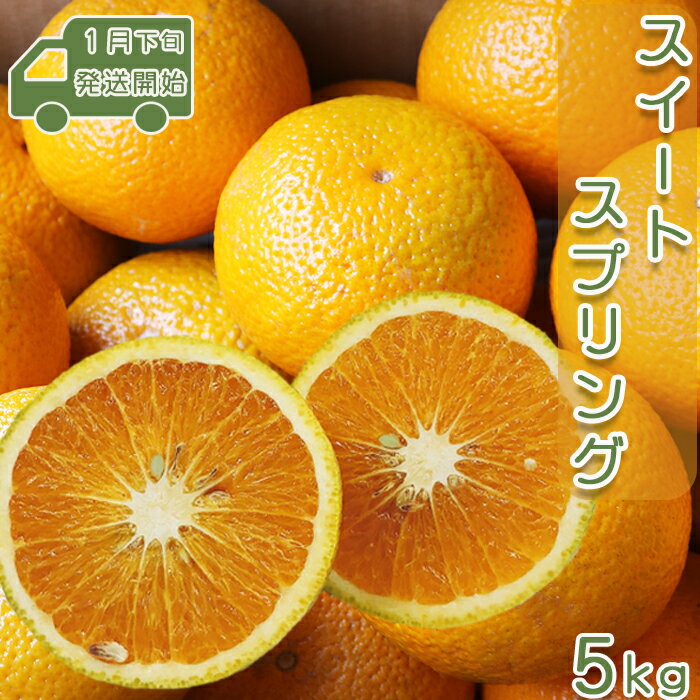 【先行予約・数量限定】刈込園芸『鴨川スイートスプリング』 5kg（20～25個）　[0010-0210]