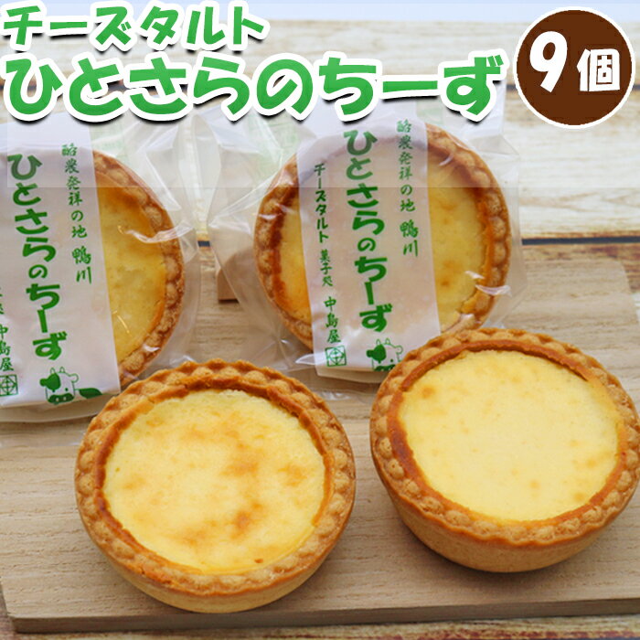 【中島屋菓子店】ひとさらのチーズ(チーズタルト)9個入り [0010-0315]