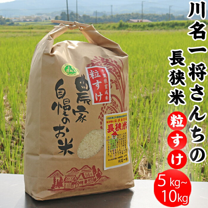 【令和7年産】川名一将さんちの長狭米　長狭米『粒すけ』 5kg～10kg　[0014-0039]