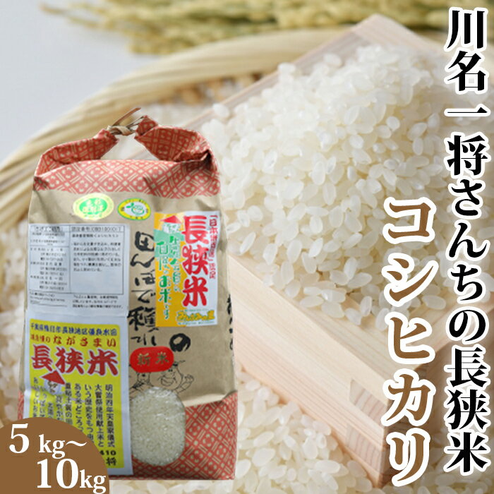 【令和7年産】川名一将さんちの長狭米 コシヒカリ5kg～10kg（精米・玄米）　[0015-0066]