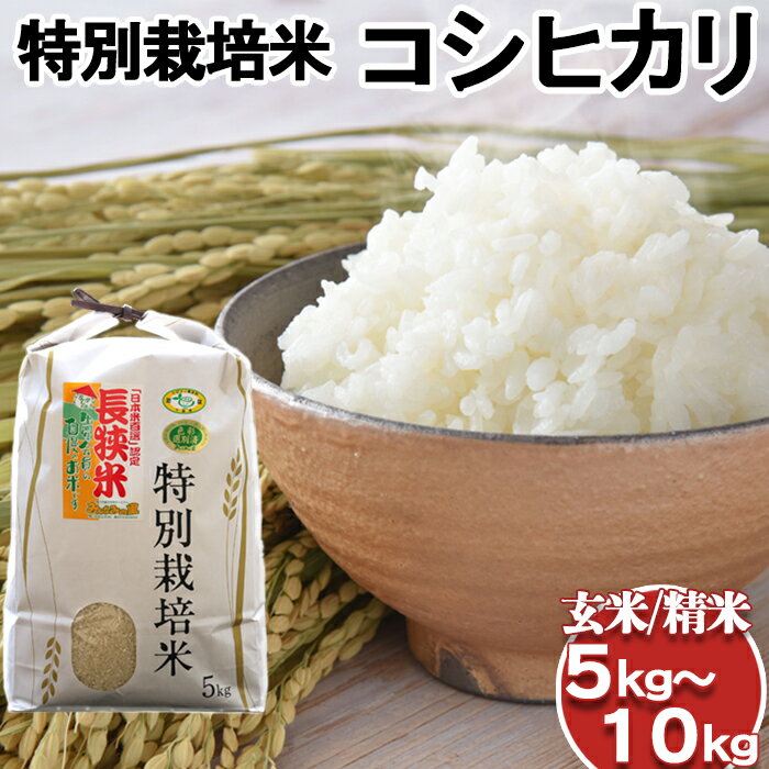 【千葉県知事賞受賞】川名一将さんちの長狭米『特別栽培米コシヒカリ』5kg～10kg（精米／玄米）　[0016-0027]