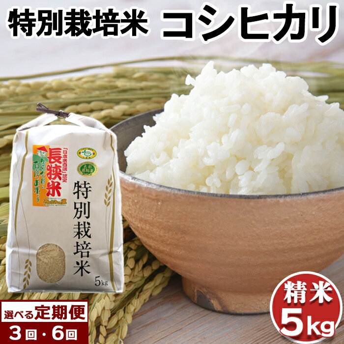 【定期便】【千葉県知事賞受賞】川名一将さんちの長狭米『特別栽培米コシヒカリ』精米5kg×3カ月～6カ月　[0048-0003]