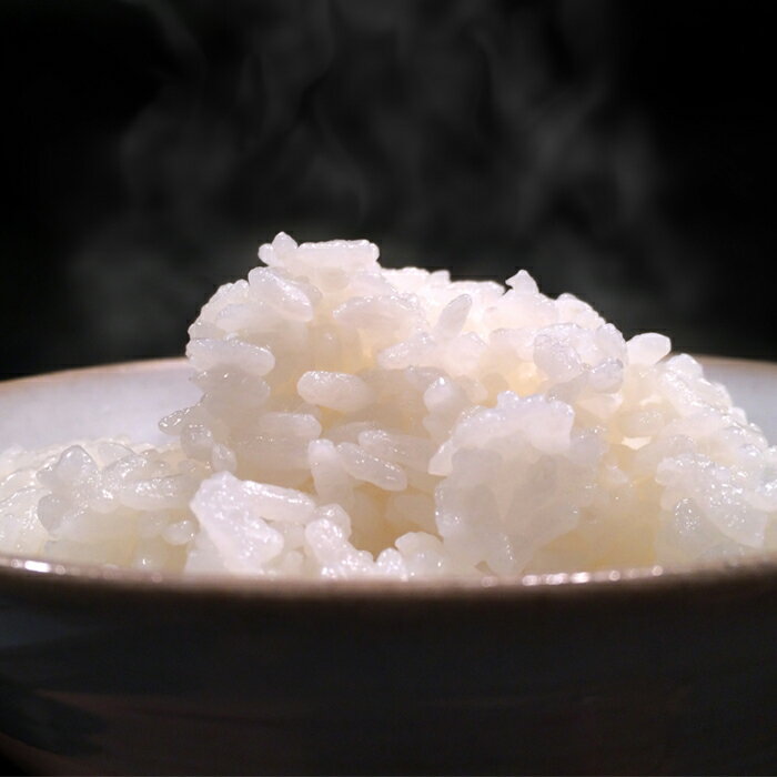 【ふるさと納税】【令和7年産】川名一将さんちの長狭米 コシヒカリ5kg～10kg（精米・玄米）　[0015-0066] - 画像3