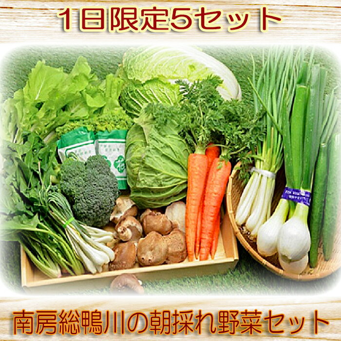 【1日限定5セット】南房総鴨川の朝採れ野菜セット [0014-0027]