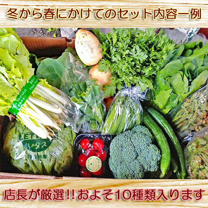 【ふるさと納税】【1日限定5セット】南房総鴨川の朝採れ野菜セット [0014-0027] サムネイル2