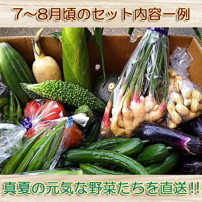 【ふるさと納税】【1日限定5セット】南房総鴨川の朝採れ野菜セット [0014-0027] サムネイル3