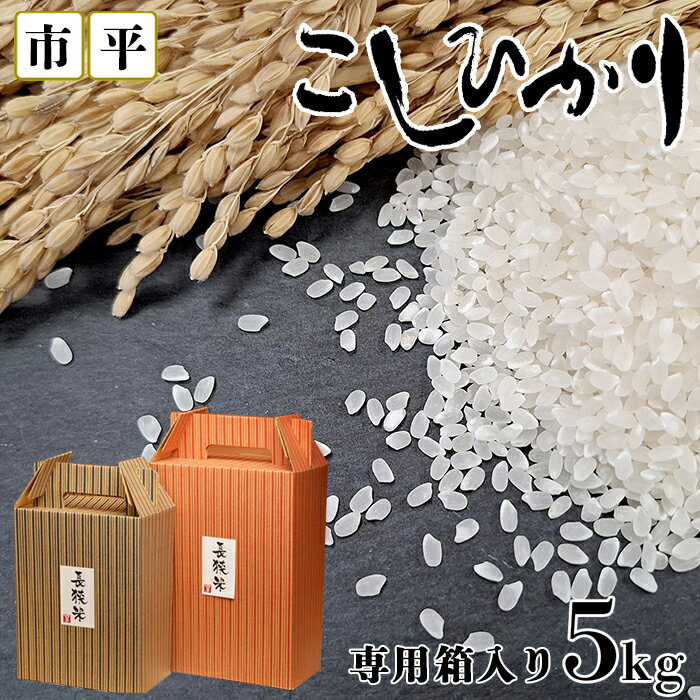 【市平】ボックス入り長狭米コシヒカリ5kg [0019-0008]