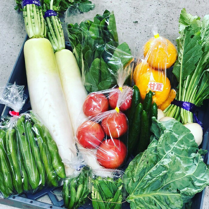 【ふるさと納税】【山田青果店】旬の野菜＆フルーツ [0015-0057] - 画像2