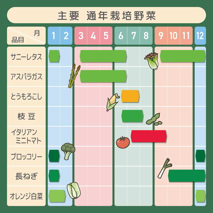【ふるさと納税】【 2026年 先行予約 】とうもろこし 2種食べ比べミックス 味来×ドルチェドリーム 約2キログラム（5～6本） | とうもろこし にがり農法 国産 新鮮 食べ比べ 産地直送 栄養たっぷり 野菜 旬 鈴木アル・ファーム 新鮮 朝採り 千葉 君津 きみつ - 画像2