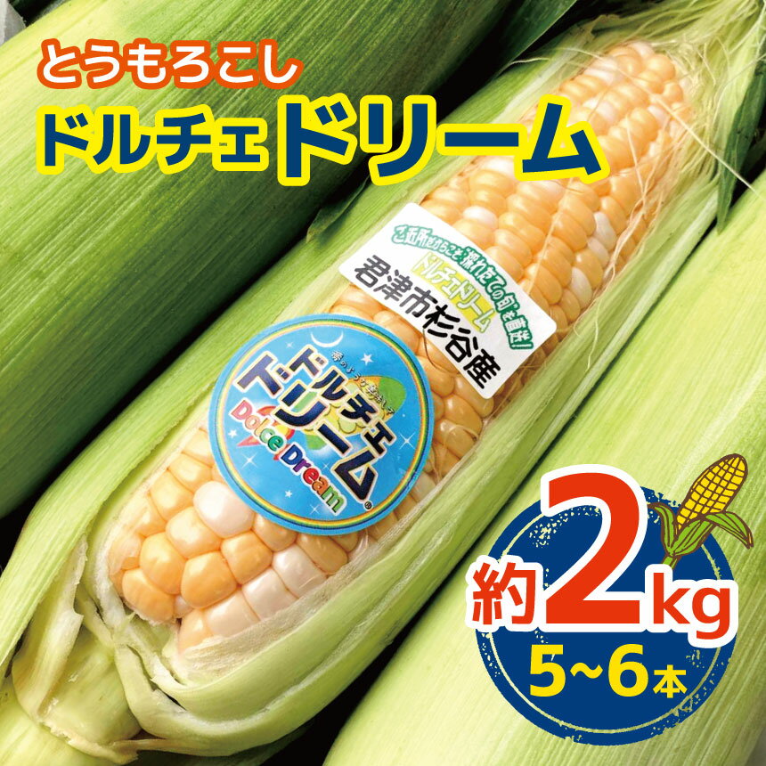 【2026年 先行予約 】 6月中旬～順次発送 とうもろこし ドルチェドリーム 約2kg（5～6本） | 野菜 激甘 甘い とうもろこし スイートコーン コーン トウモロコシ 鈴木アル・ファーム 新鮮 朝採り イチオシ 千葉 君津 きみつ
