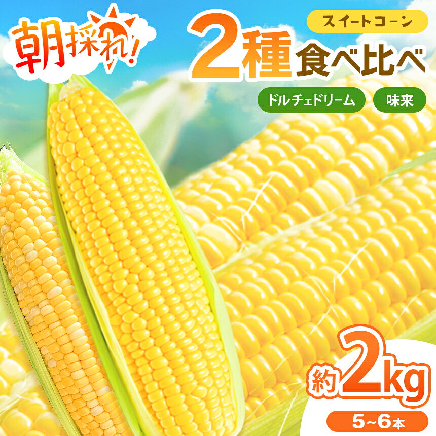 【 2026年 先行予約 】とうもろこし 2種食べ比べミックス 味来×ドルチェドリーム 約2キログラム（5～6本） | とうもろこし にがり農法 国産 新鮮 食べ比べ 産地直送 栄養たっぷり 野菜 旬 鈴木アル・ファーム 新鮮 朝採り 千葉 君津 きみつ
