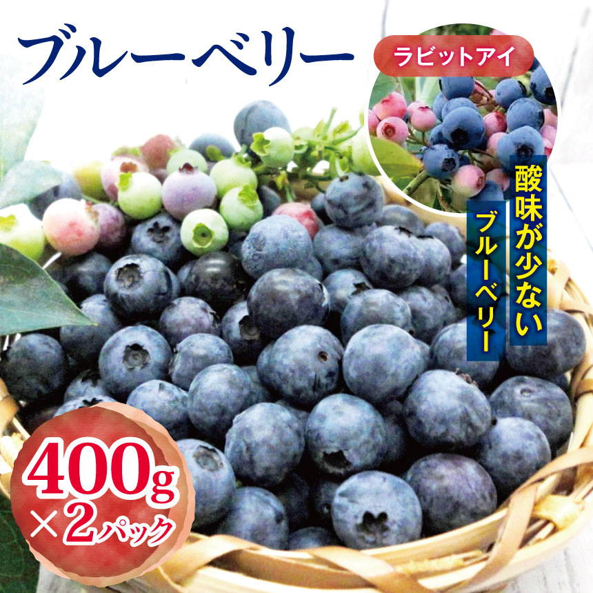 2026年 先行予約 農家直送 ブルーべリー ( ラビットアイ ) 400g × 2パック 観光農園ジジの山 | ジジの山 送料無料 フルーツ 果物 くだもの ブルーベリー ぶるーべりー 千葉県 君津市 きみつ