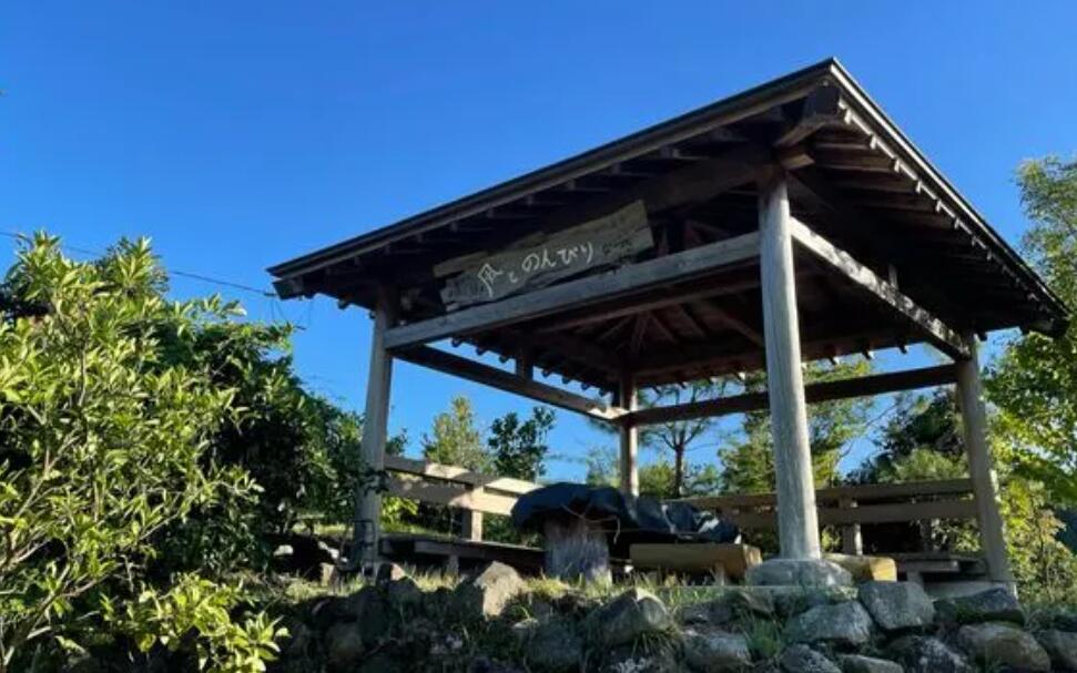 【ふるさと納税】 2026年 先行予約 農家直送 ブルーべリー ( ラビットアイ ) 400g × 2パック 観光農園ジジの山 | ジジの山 送料無料 フルーツ 果物 くだもの ブルーベリー ぶるーべりー 千葉県 君津市 きみつ サムネイル3