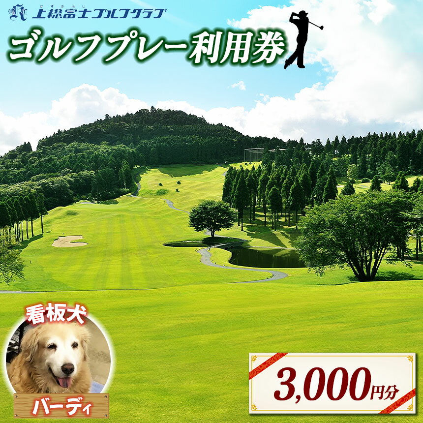 上総富士ゴルフクラブ 利用券 【3,000円分】 | イベント チケット 体験チケット ゴルフ ゴルフ利用券 看板犬 千葉県 君津市
