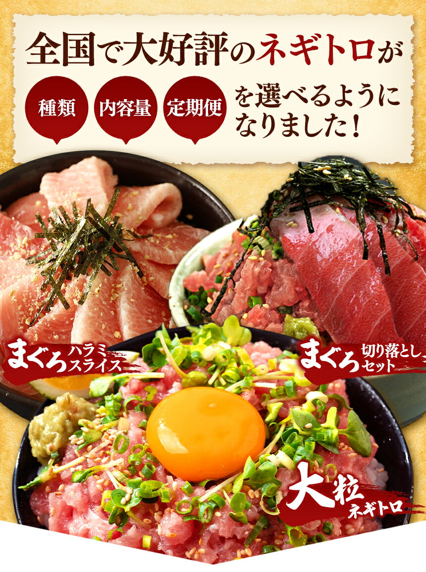 【ふるさと納税】250gパック ★ レビューキャンペーン 実施中 ★ 定期便 1000g～2000g お試し 選べる ねぎとろ 小分け | 清幸丸水産 高評価 ネギトロ マグロ ハラミ たたき タタキ 切り落とし 鮪 海鮮 海鮮丼 冷凍 手巻き セット 雑誌掲載 | イチオシ 千葉県 君津 きみつ サムネイル3