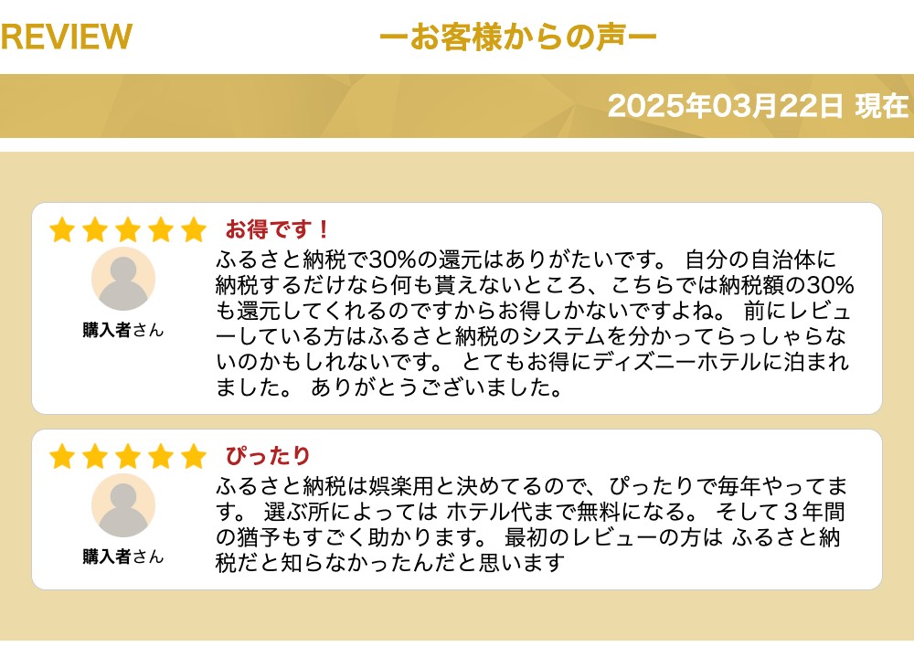 【ふるさと納税】【楽天トラベル地域創生賞Gold2024受賞】千葉県浦安市の対象施設で使える楽天トラベルクーポン 寄付額60,000円|利用可能期間3年間 観光地応援 支援 国内旅行 返礼 返礼品 泊り お泊り サムネイル2